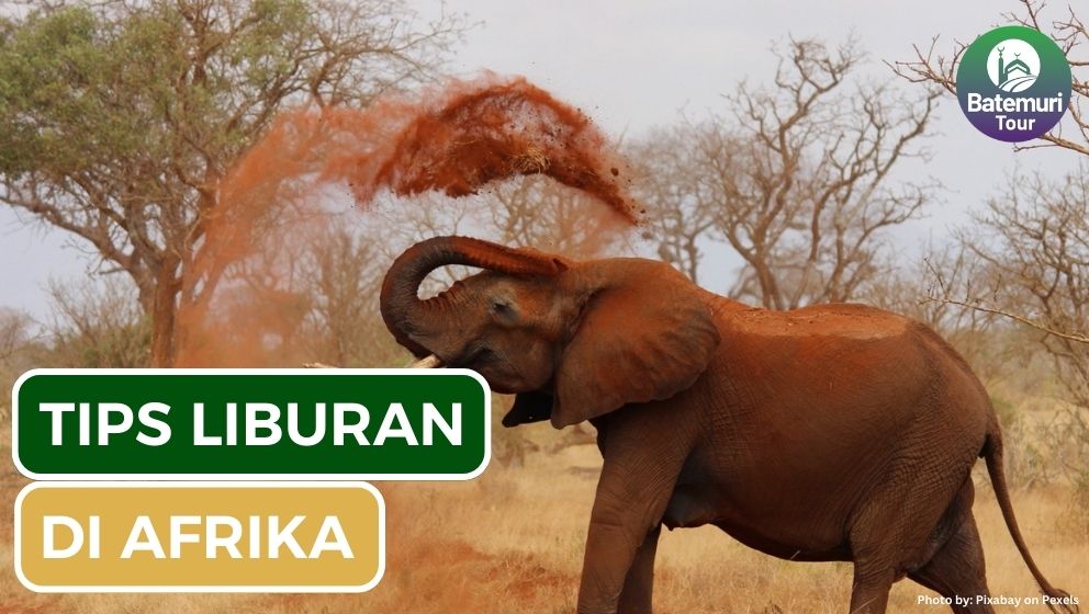 Tetap Aman Saat Berlibur, Ini Dia 10 Tips Aman Berlibur ke Afrika